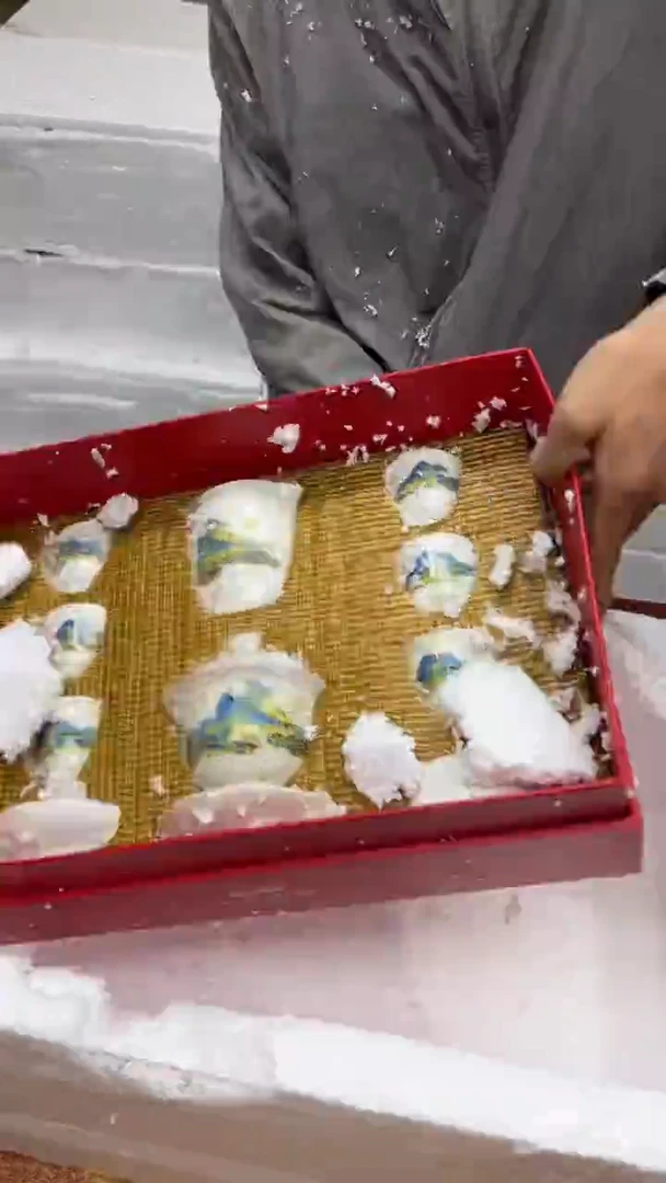 瓷片其他其他其他其他
