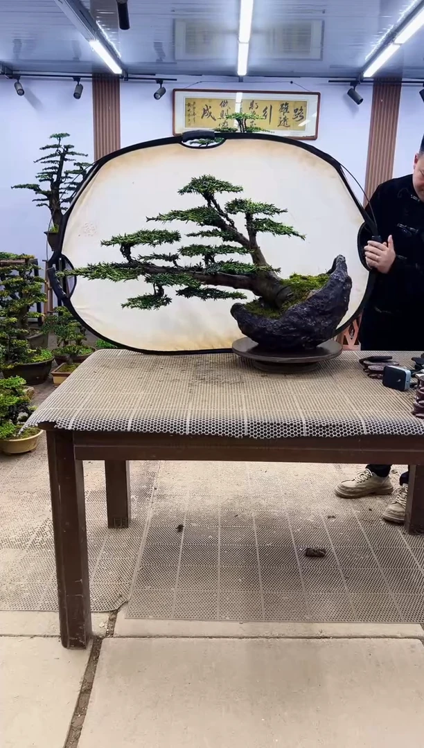 【闪购商品】00000000