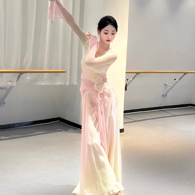 古典舞蹈服渐变蝴蝶纱衣练功服飘逸中国舞演出服裙裤表演服古典服