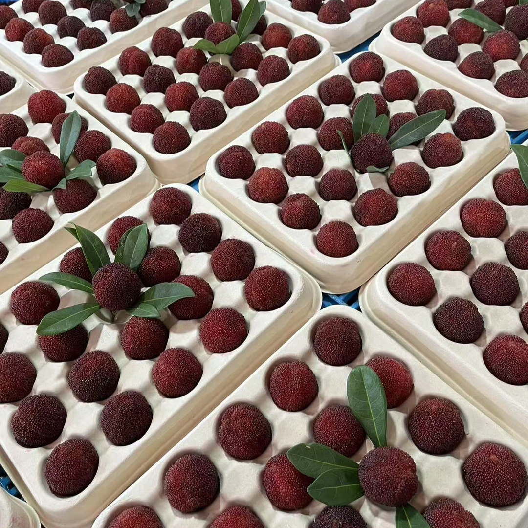 【东魁颗粒包装】正宗仙居东魁杨梅现摘现发真空包装精品礼盒