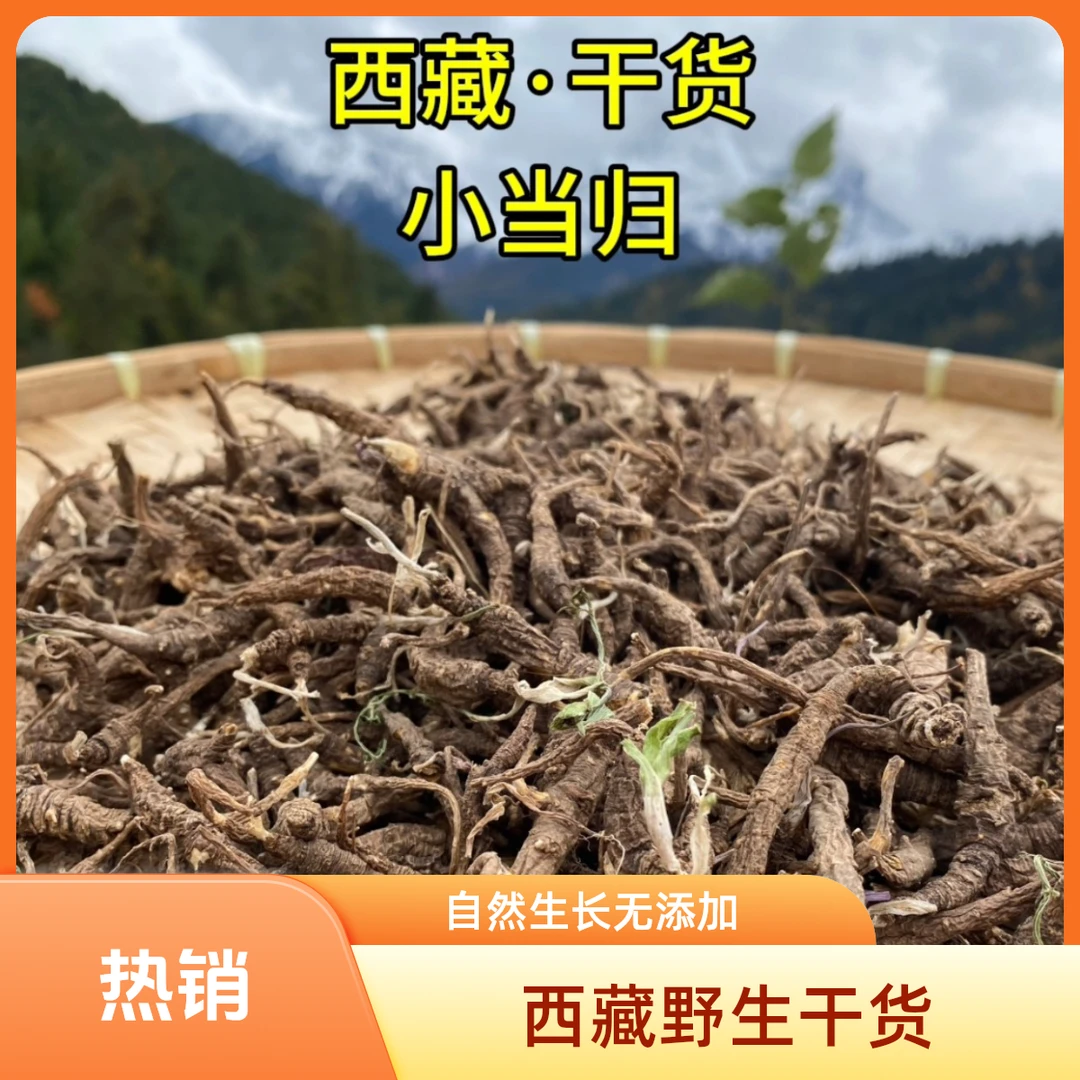 西藏野生防风整根晒高原雪域新货西藏林芝波密县直发