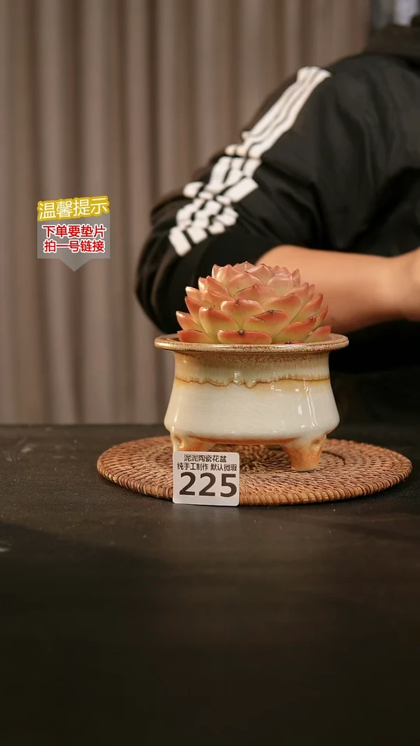 瓷片225内口径约 9-10 外高约9-10
