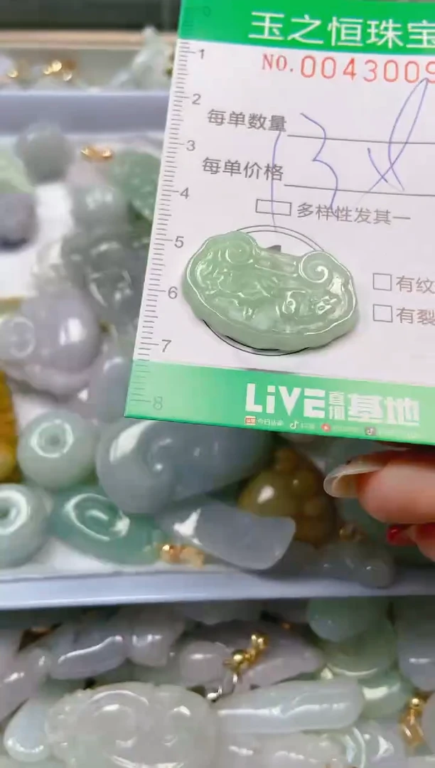 【闪购商品】翡翠颈饰未镶嵌闪购0043009