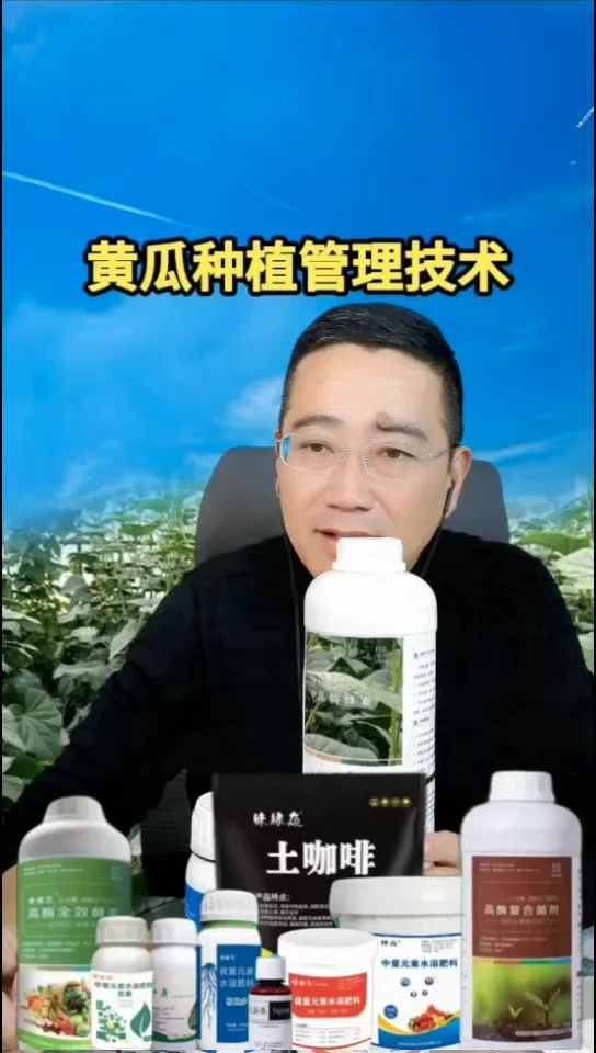 酵素6瓶装 生主根