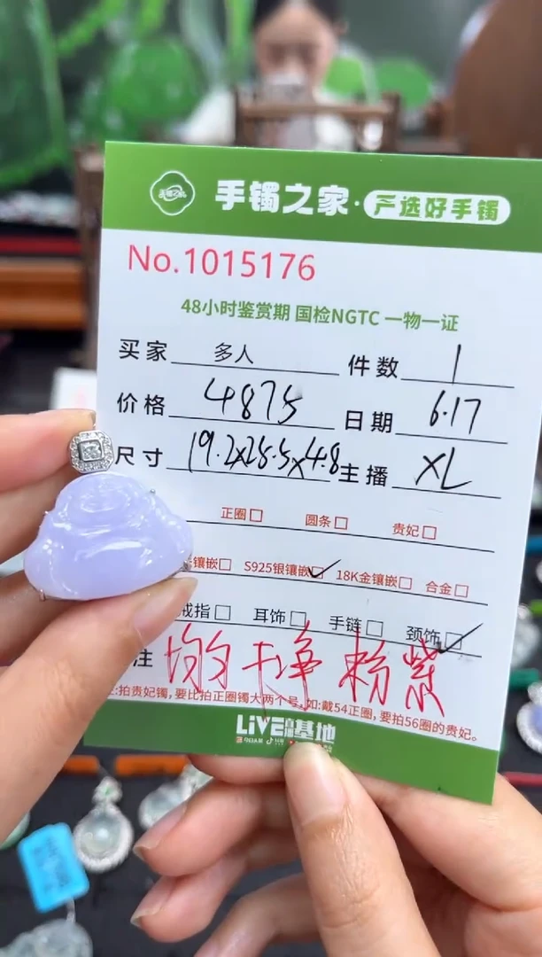 翡翠银S925镶嵌颈饰多人