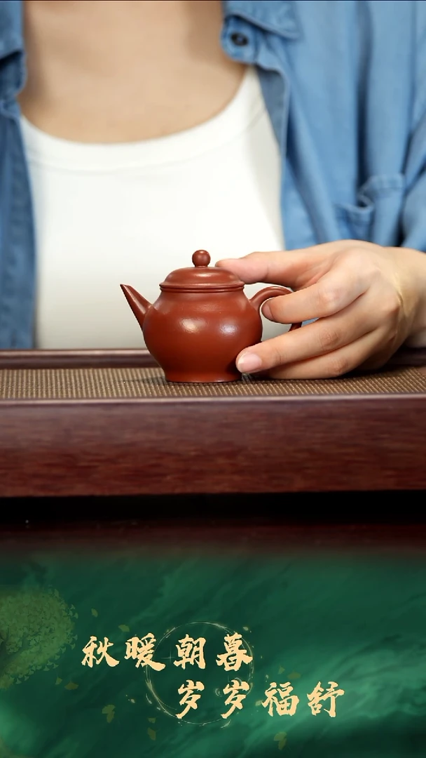 茶壶紫砂紫砂壶孤品福利24
