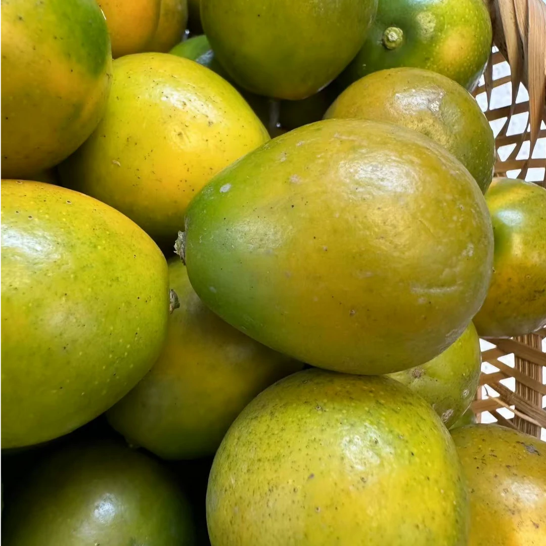 【雨燕农产品】融安脆蜜 滑皮金桔 纯甜多汁