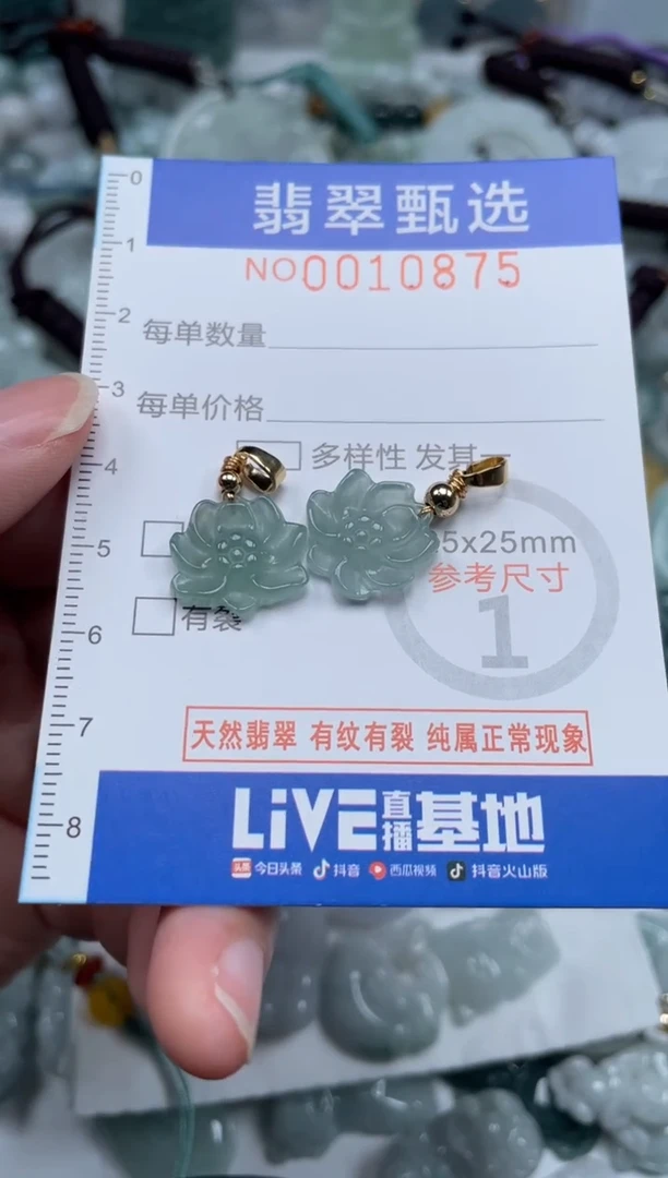 颈饰未镶嵌翡翠10875