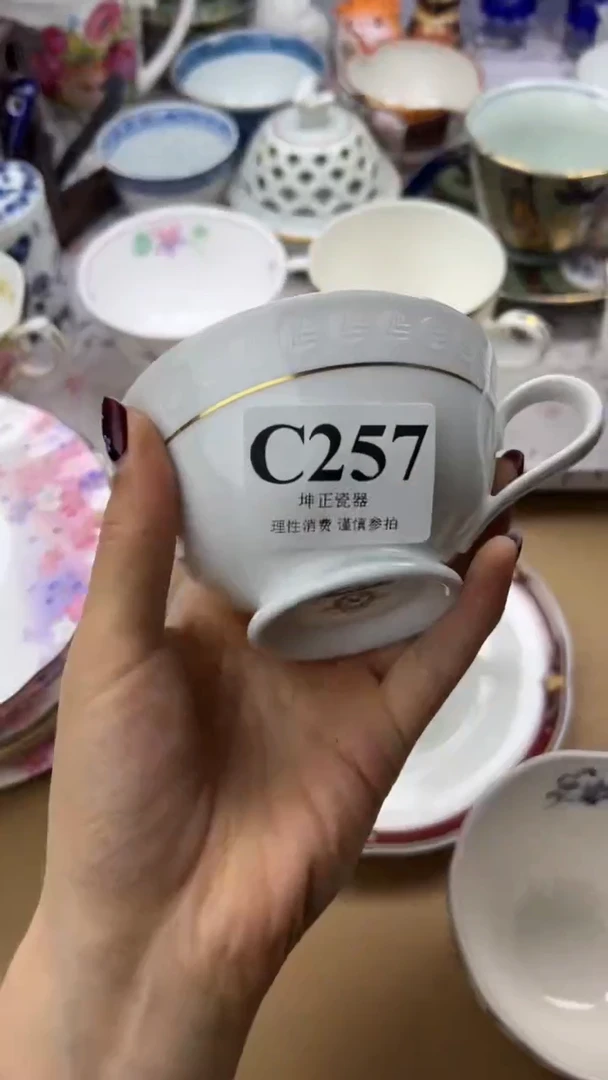 瓷片          C257
