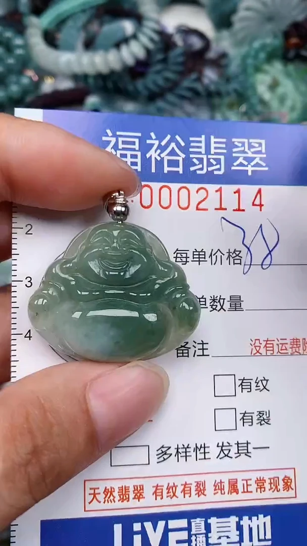 翡翠未镶嵌颈饰...0002114