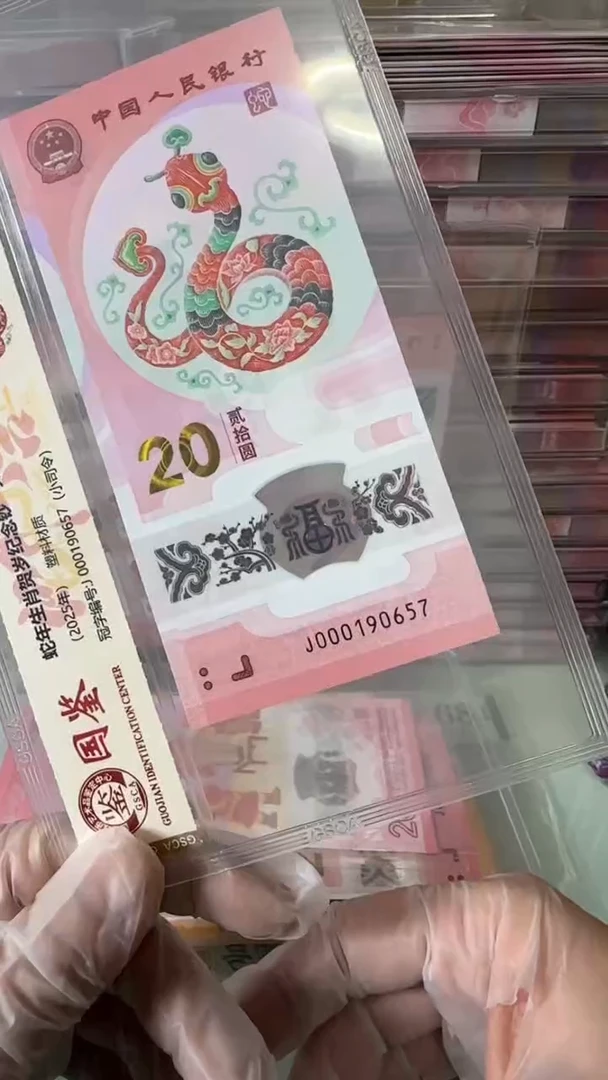 【闪购商品】塑料蛇钞单张-000190657.