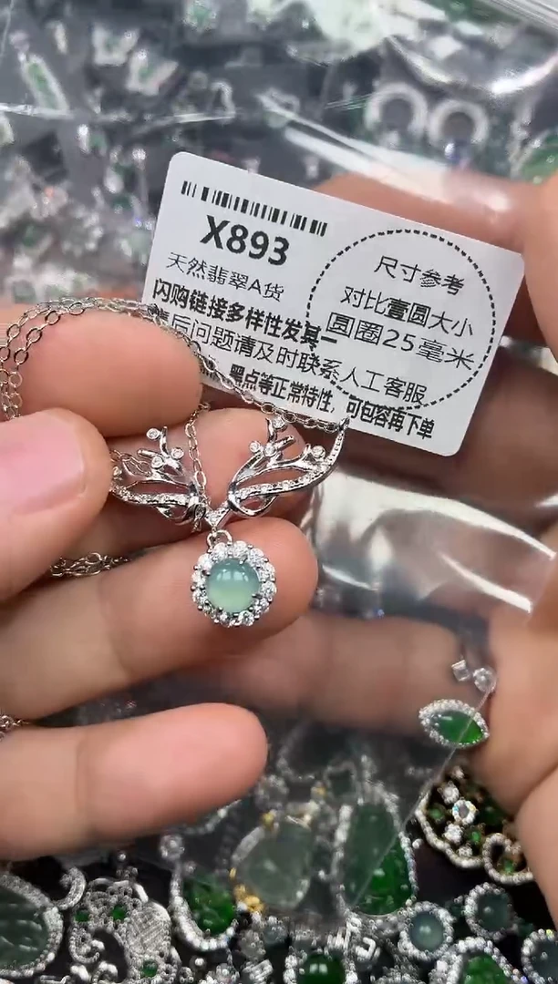 颈饰未镶嵌翡翠X893项链