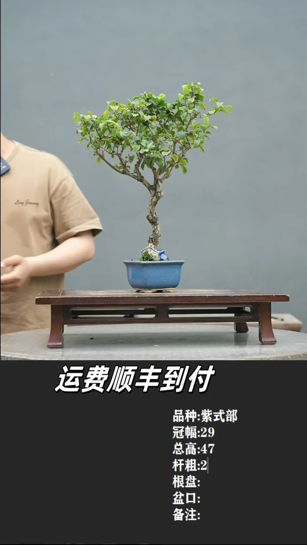 含*17 紫式部