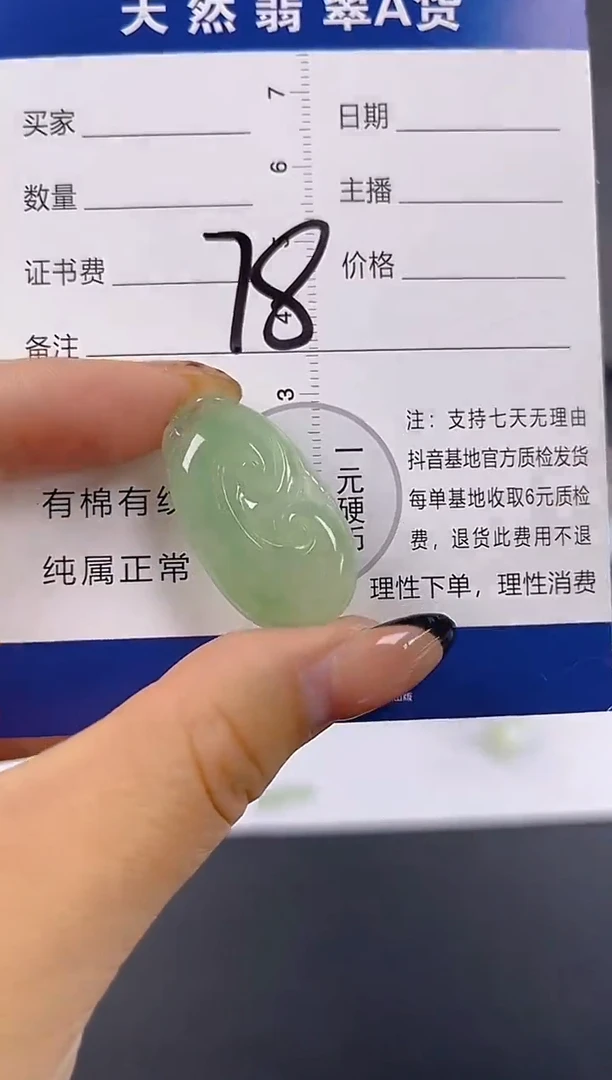 颈饰未镶嵌翡翠天然A货缅甸翡翠