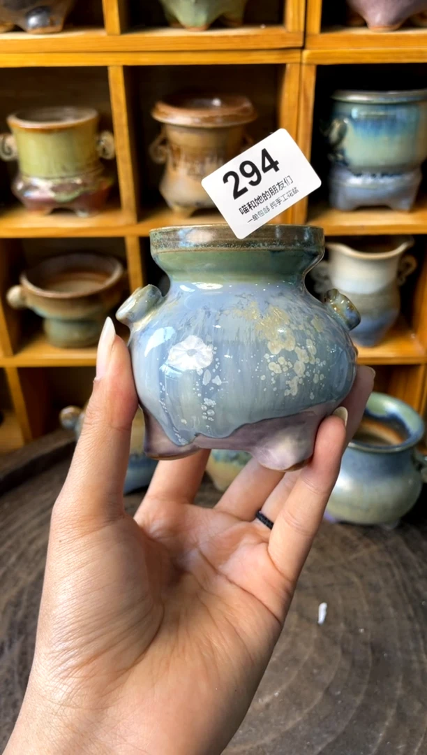 294【多肉花盆多肉盆】