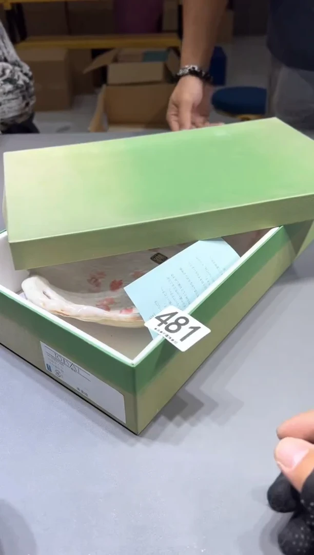 瓷片?*子481.....