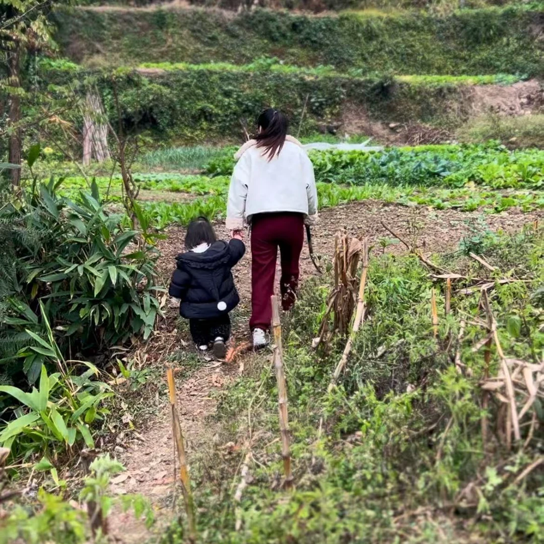 贵州高山土特产各种新鲜蔬菜专属链接