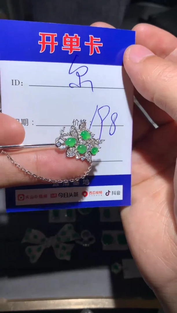 【闪购商品】翡翠颈饰银S925镶嵌定向 尔雅