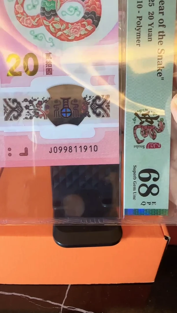 塑料2025 蛇钞 单张  啊啊啊