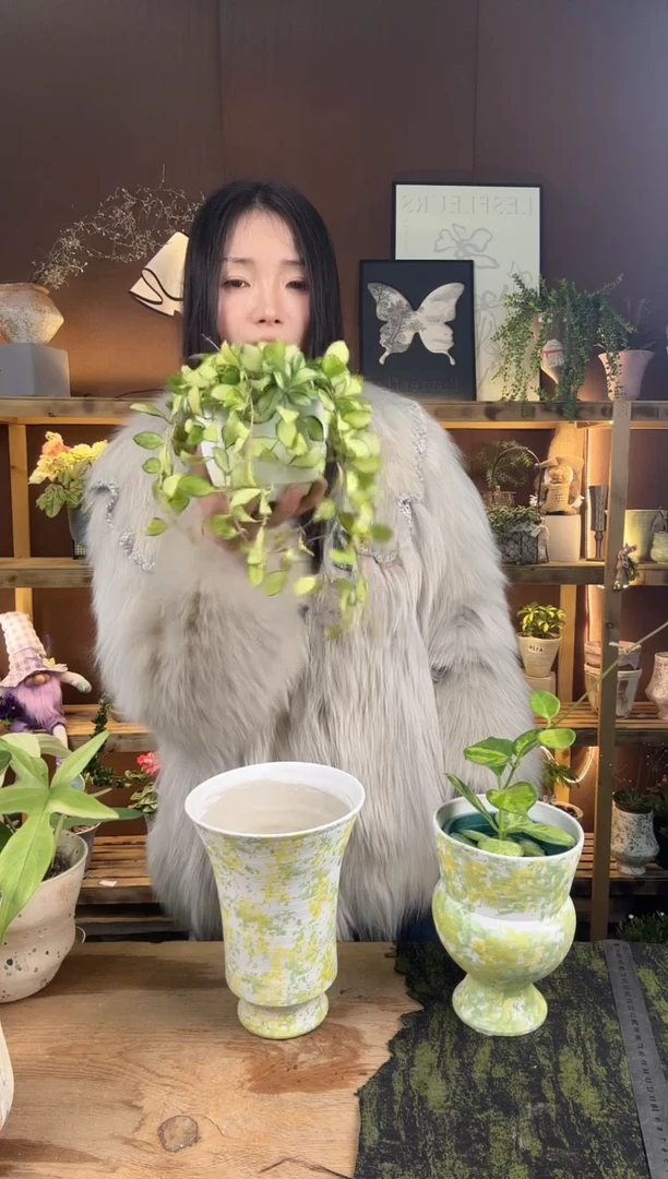 以实际为准916修内球兰加盆一套