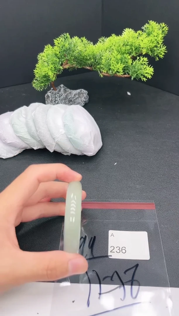 未镶嵌手镯翡翠236