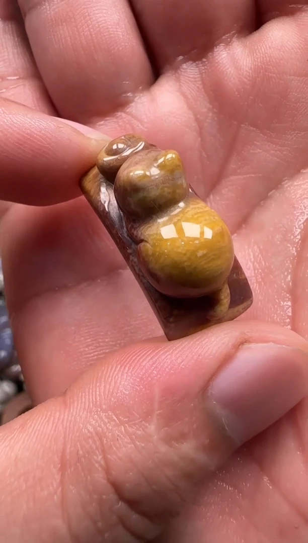 【闪购商品】硅化珊瑚（珊瑚玉）颈饰未镶嵌080