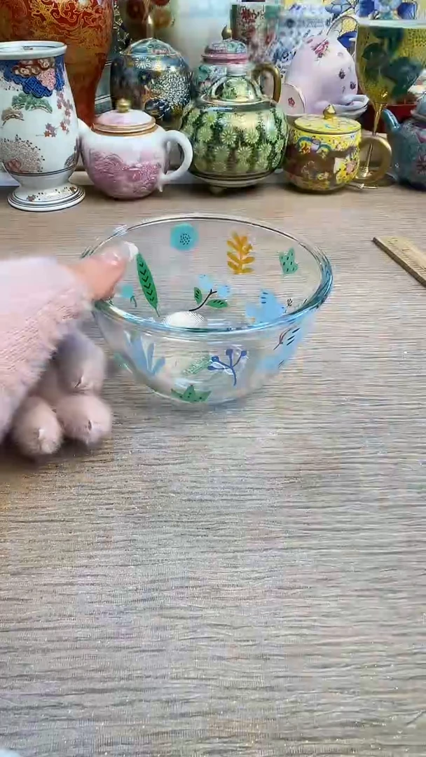 瓷片陶瓷陶瓷陶瓷陶瓷