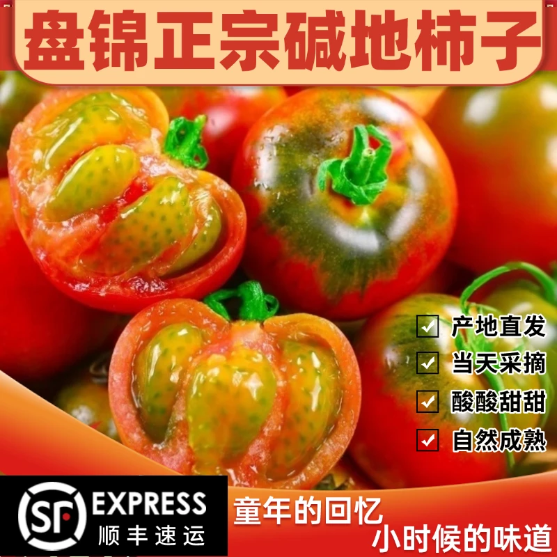 盘锦碱地柿子铁皮柿子水果酸甜可口现摘现发顺丰包邮到家