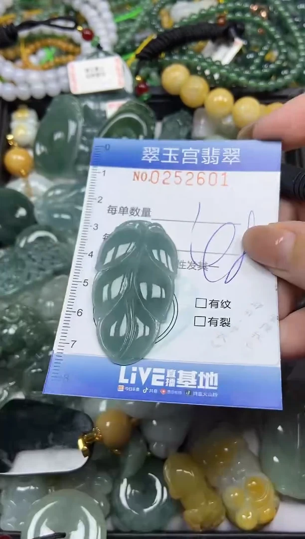 颈饰未镶嵌翡翠闪购C0252601