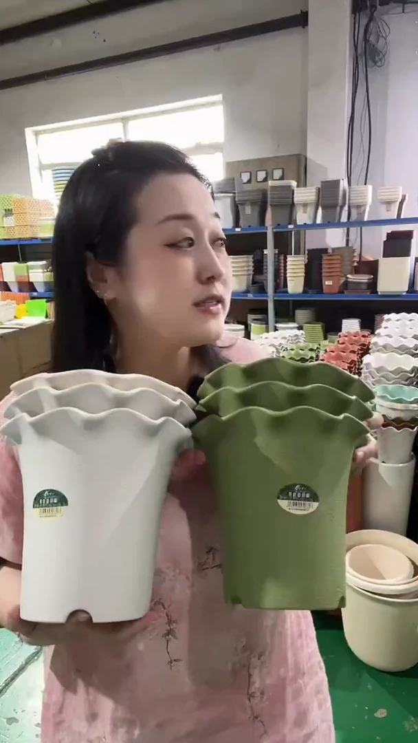 5套荷叶边5002，带托
