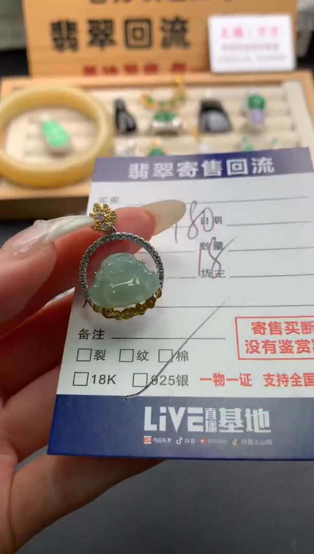 翡翠银S925镶嵌颈饰10139793