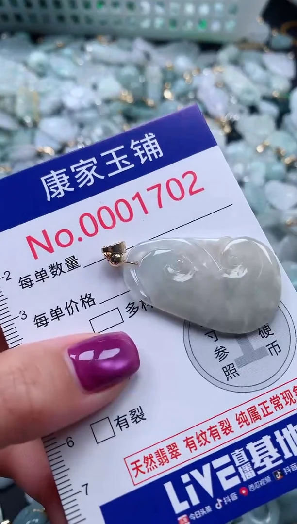 颈饰未镶嵌翡翠1702