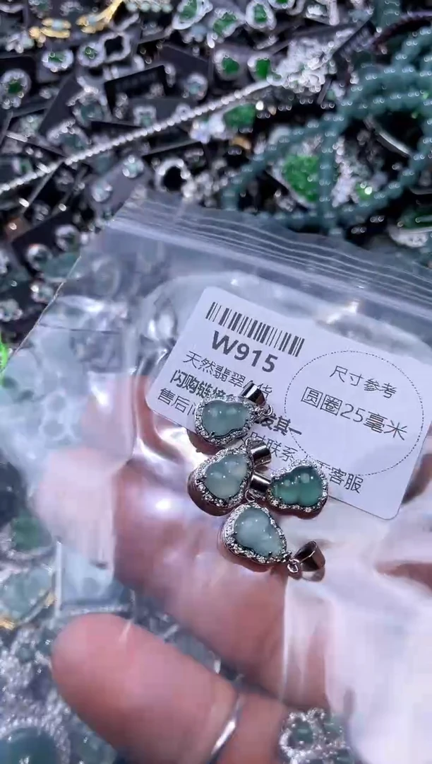 【闪购商品】翡翠颈饰未镶嵌W915多样性发其一