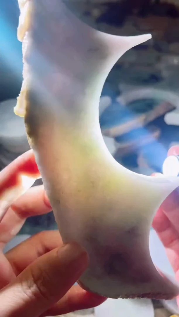 【闪购商品】翡翠颈饰未镶嵌翡翠A货小猫11