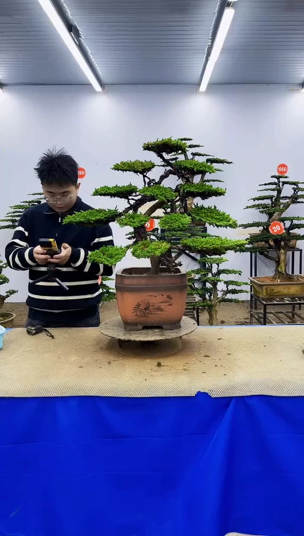 完全开放一物一拍，所见即所得