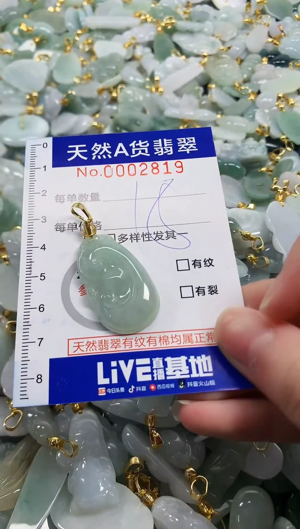 颈饰未镶嵌翡翠天然a货翡翠