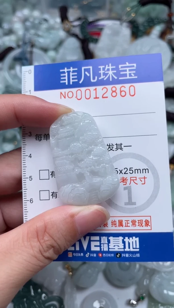 颈饰未镶嵌翡翠12860