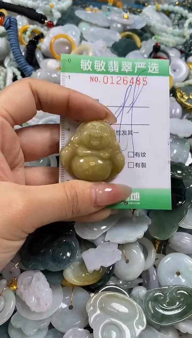 【闪购商品】翡翠颈饰未镶嵌闪购0126485