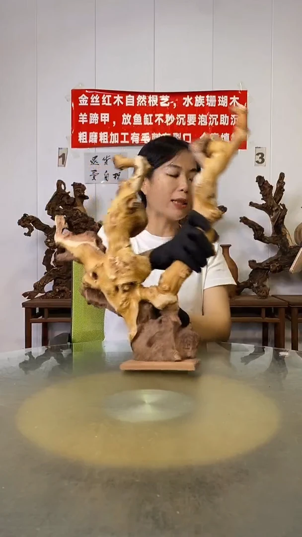 香榧木沙**哥金丝红木   羊蹄甲