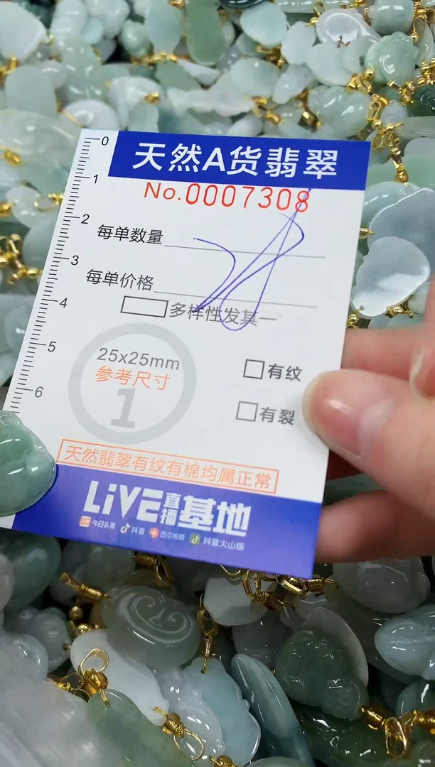颈饰未镶嵌翡翠纯天然a货翡翠