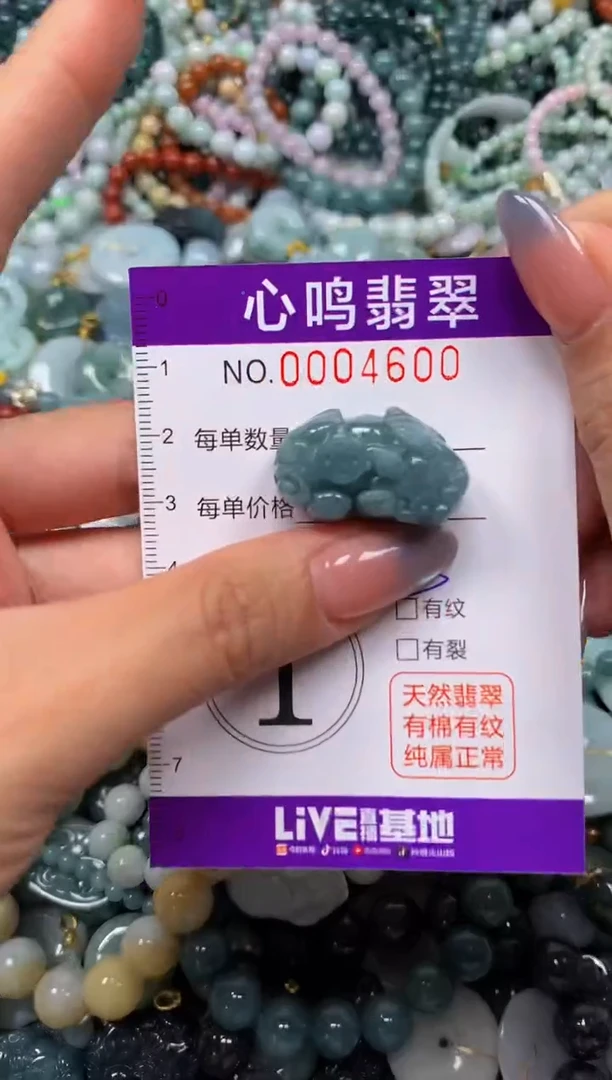 颈饰未镶嵌翡翠闪购004600