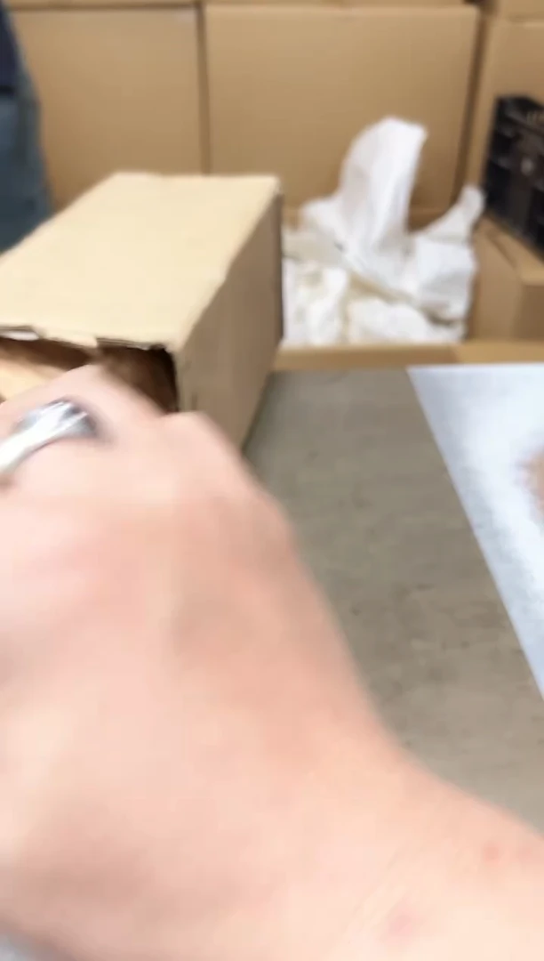 瓷片237聚宝缘海陶精选