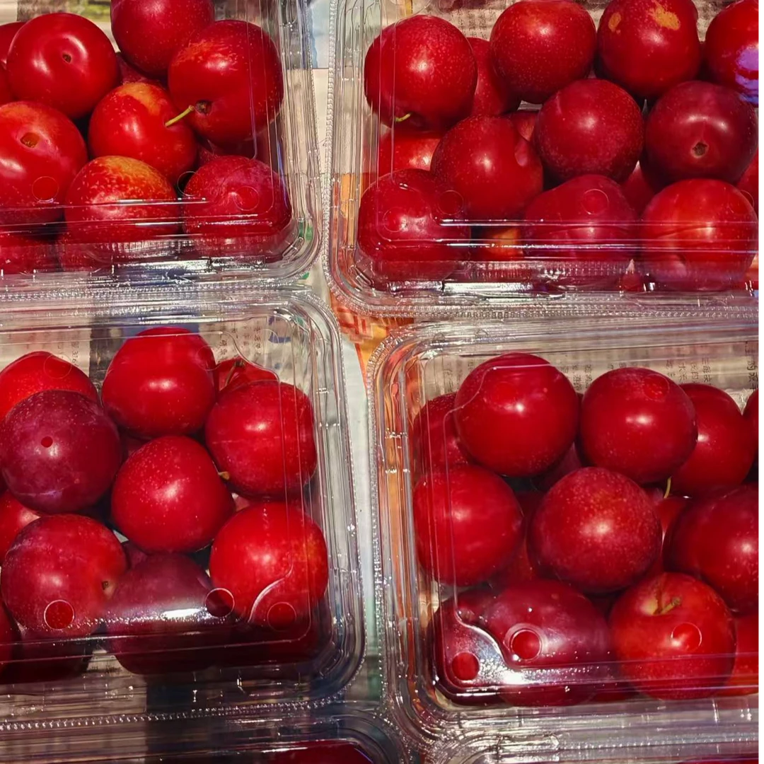 新品上架樱桃李子