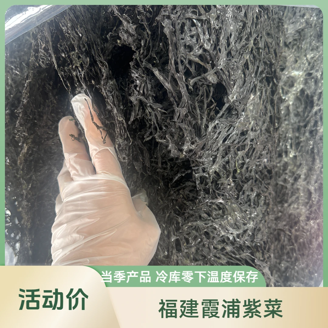 2025年福建正宗霞浦头水紫菜
