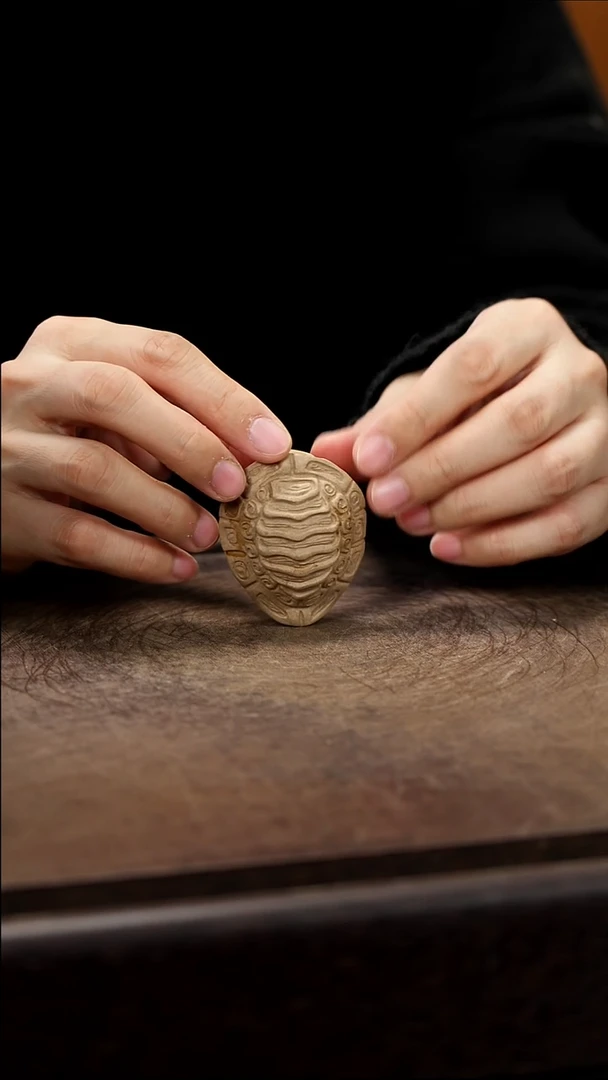紫砂茶宠紫砂龟壳