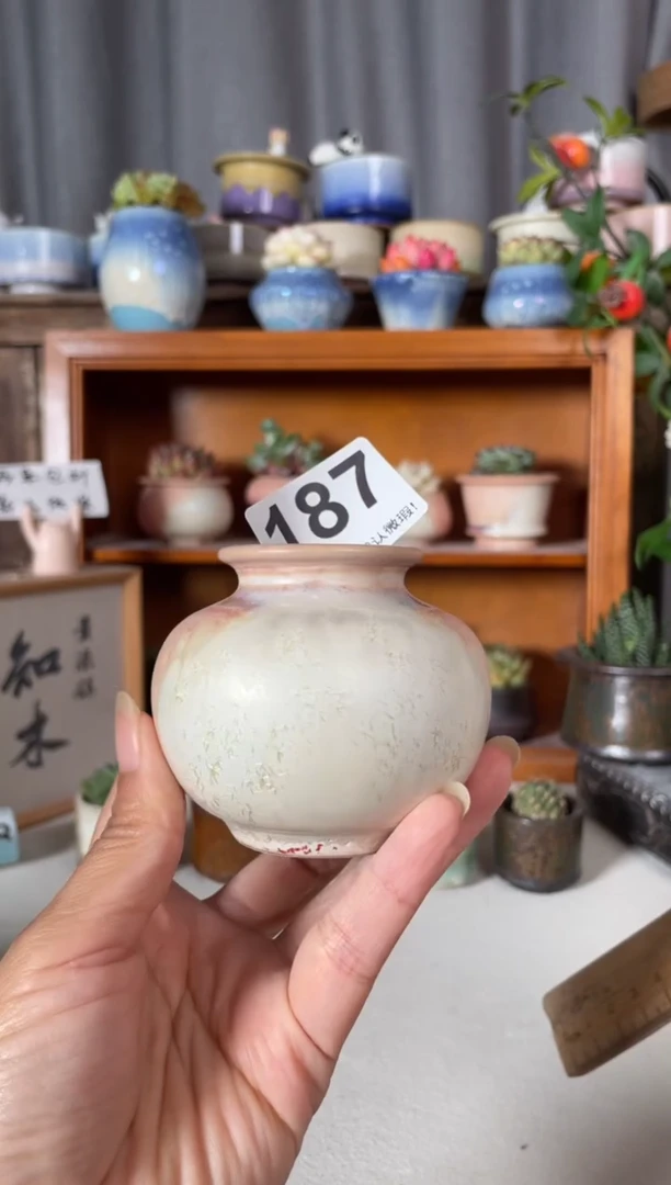 瓷片187知木小芳花盆