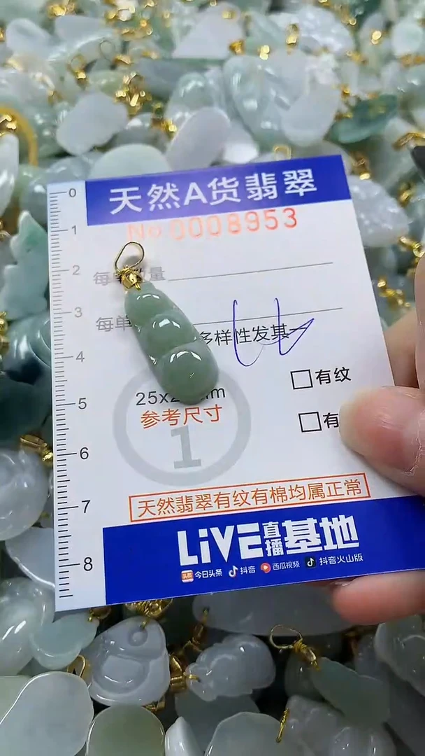 颈饰未镶嵌翡翠纯天然a货翡翠