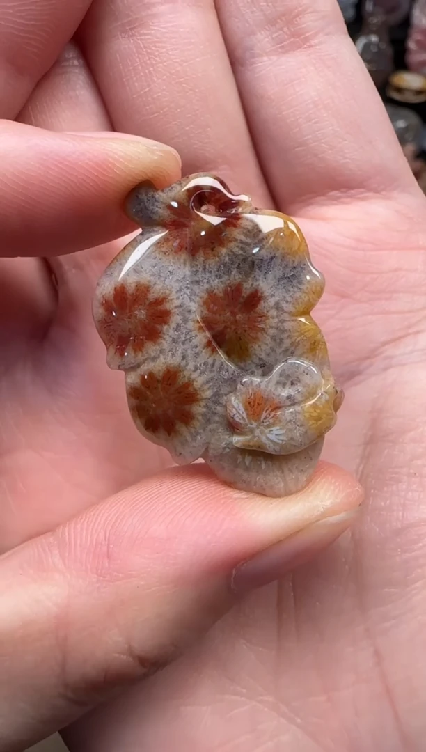 颈饰未镶嵌硅化珊瑚（珊瑚玉）554