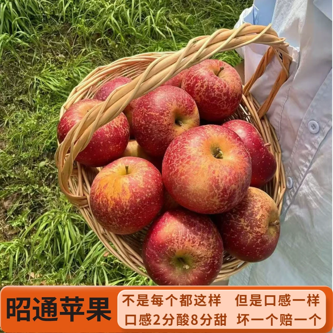净重4.5斤云南昭通富士新鲜苹果2分酸8分甜现摘现发带箱5斤包邮