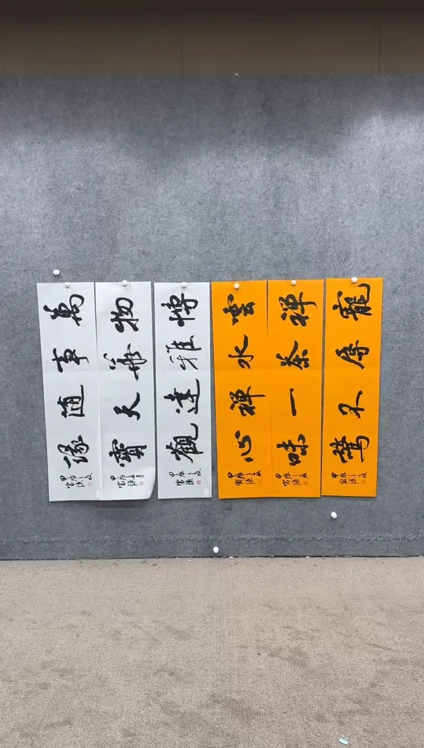 【闪购商品】书法pmw不二轩旗舰店国画书法CYQ4